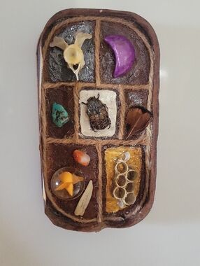 Mixed Nature Shadow Box Tray with Purple Crescent and Beetle